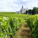 Vin et vigne à Bordeaux