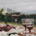 Les vins espagnols - Le guide complet