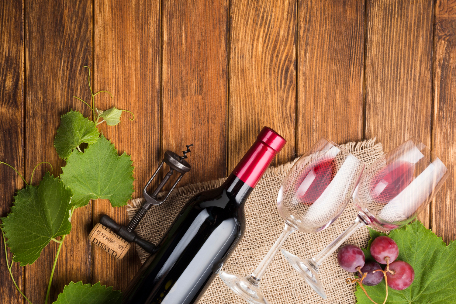 Pompe à vide vin : un accessoire utile pour les amateurs de vins - Temps  Gourmand